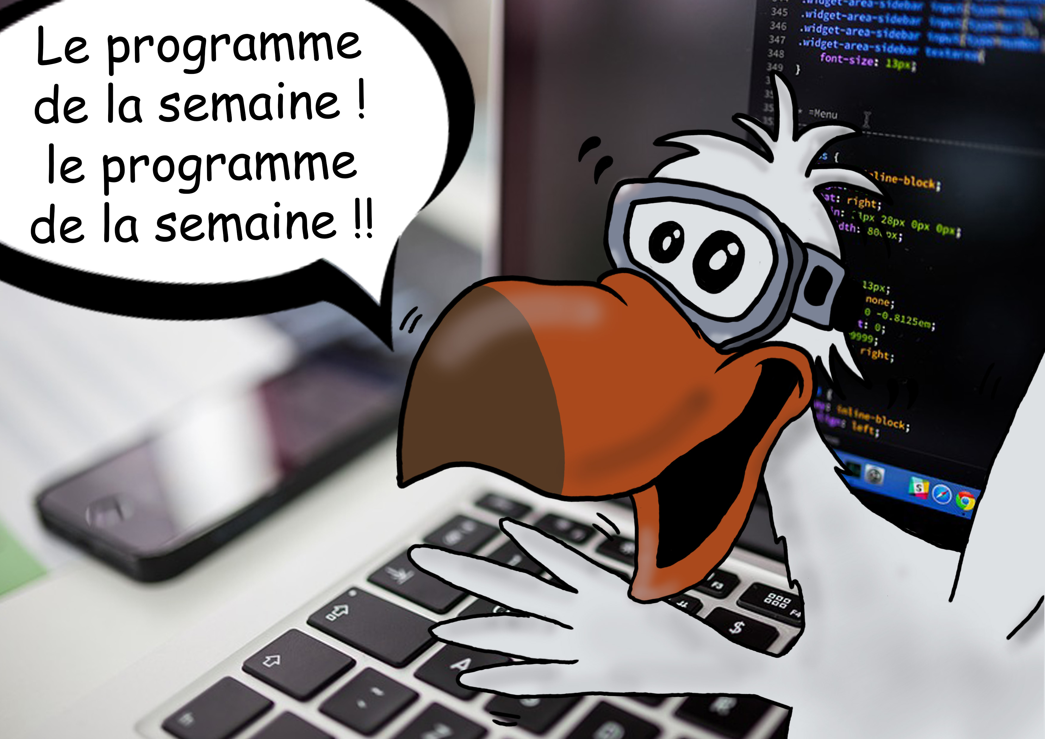 Programme de la semaine du centre de plongée sous-marine le Dodo Palmé