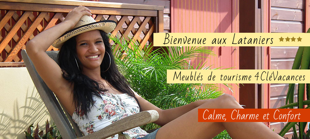 Accueil Partenaires Dodo Palmé | Plongée Réunion