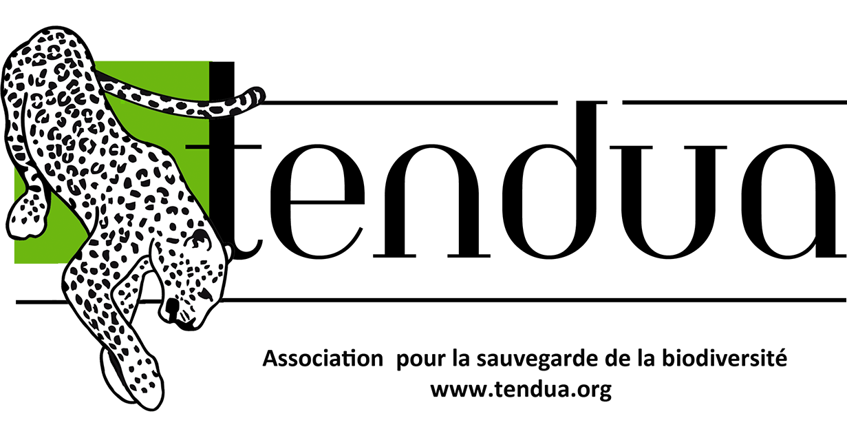 Tendua Partenaires Dodo Palmé | Plongée Scientifique Réunion