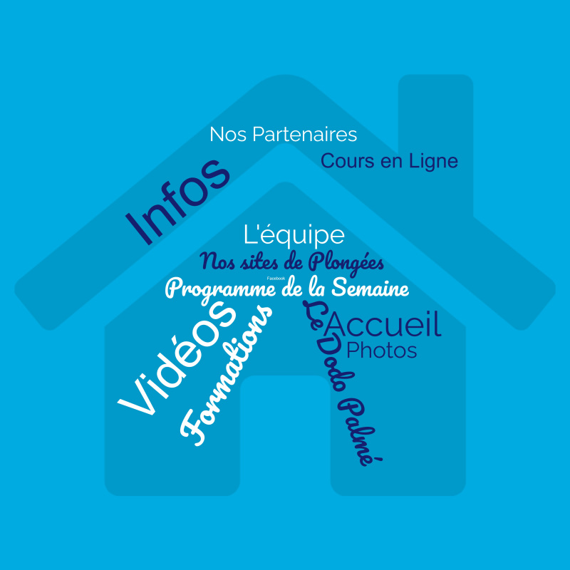 Accueil Dodo Palmé | Centre de Plongée sous-marine à La Réunion