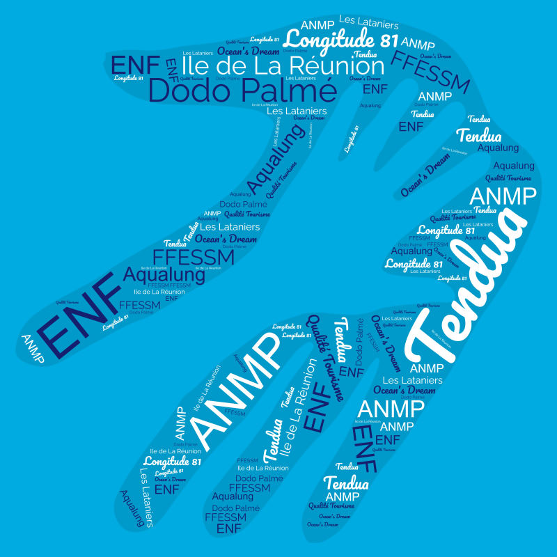 Partenaires Dodo Palmé | Centre de plongée sous-marine