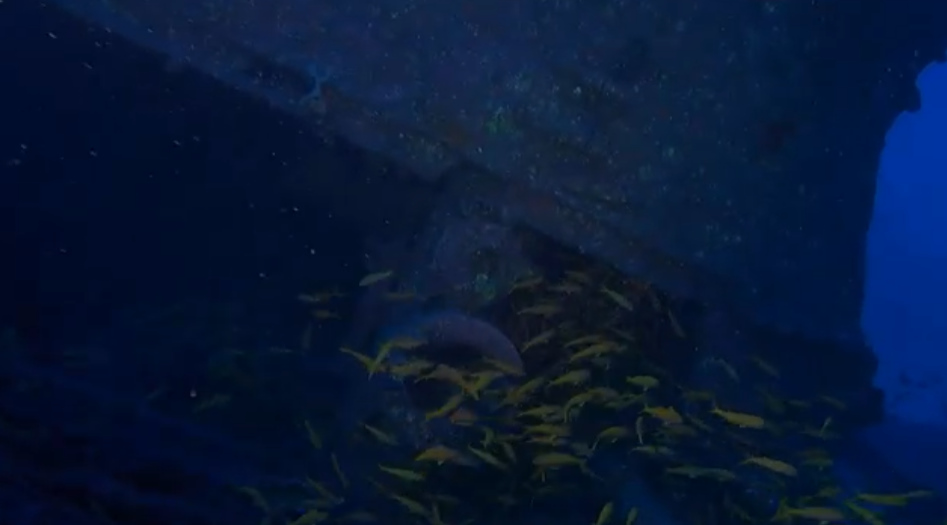 Spot épave Le Navarra | Site de Plongée Réunion