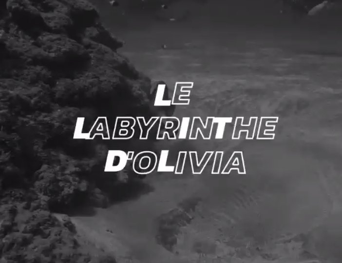Plongée Labyrinthe d'Olivia La Réunion