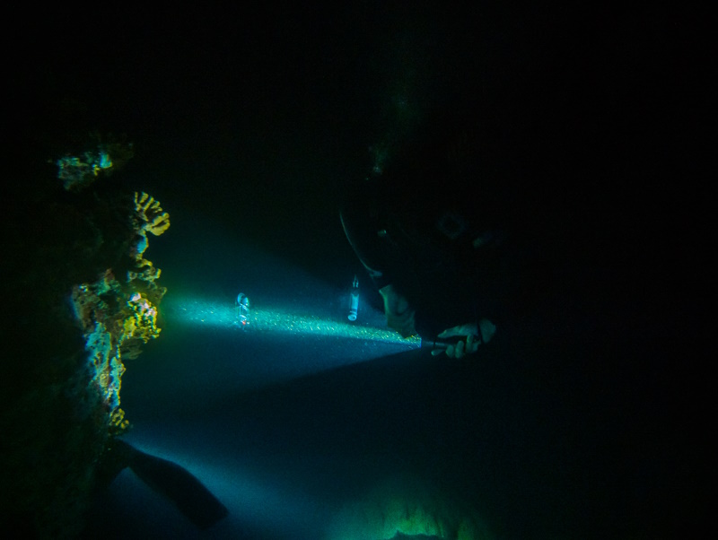 Plongée de Nuit | Spot des Lataniers | La Possession Réunion